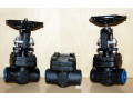 steam-valves-dealers-in-kolkata-small-0