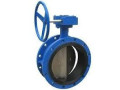 butterfly-valves-suppliers-in-kolkata-small-0